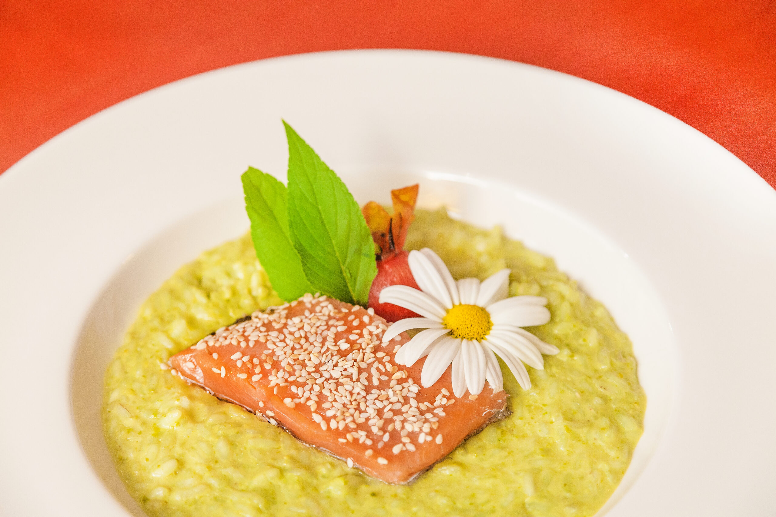 Risotto Salmone